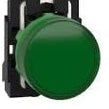 Pilot Light grey plast green LED 24V by Schneider