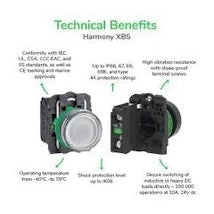 Pilot Light grey plast green LED 24V by Schneider